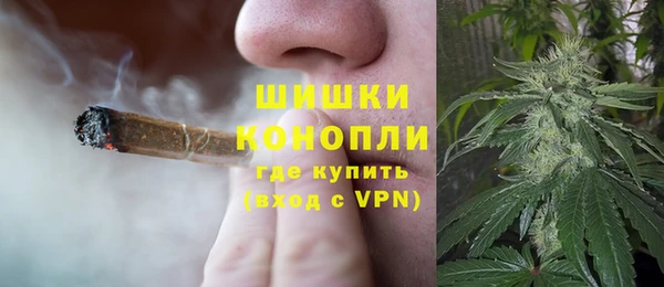 круглые Тайга