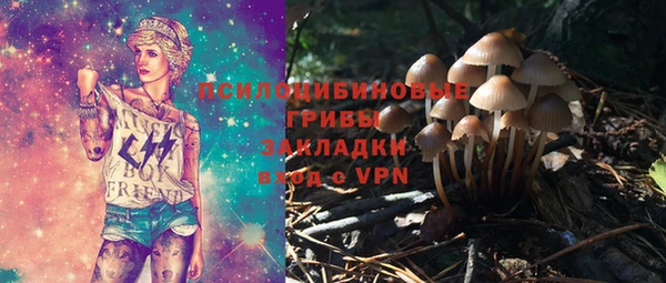 спайс Сясьстрой