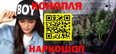 гидропоника Балашиха