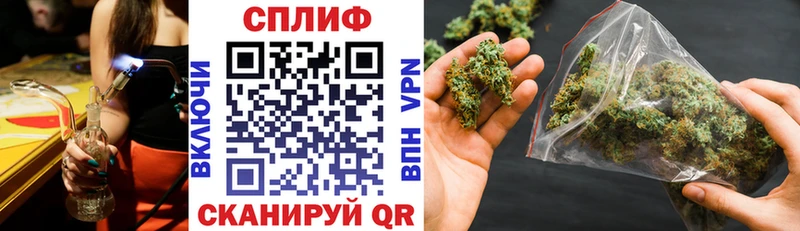 Канабис планчик  где найти   Владимир 
